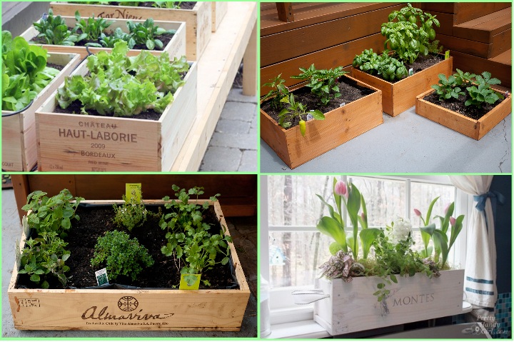 Reusing-old-wooden-boxes-at-home-planters