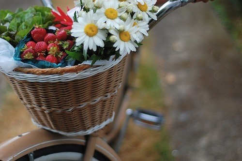 basket,bike,flowers,bicycle,fruits,lovely-d83082d9bbc155bfa26f270e2448d2ec_h