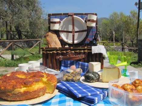 cesto-da-picnic