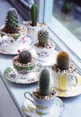 decorando-cactus-porcelana