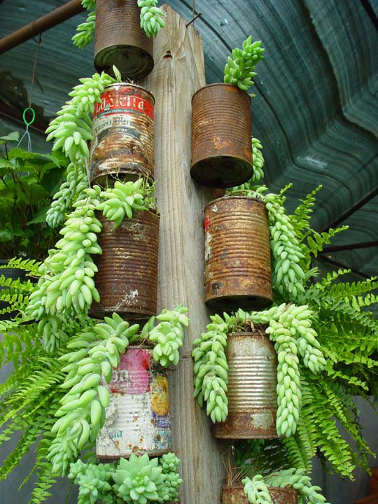 Tin Can Tower Recycled Garden Water