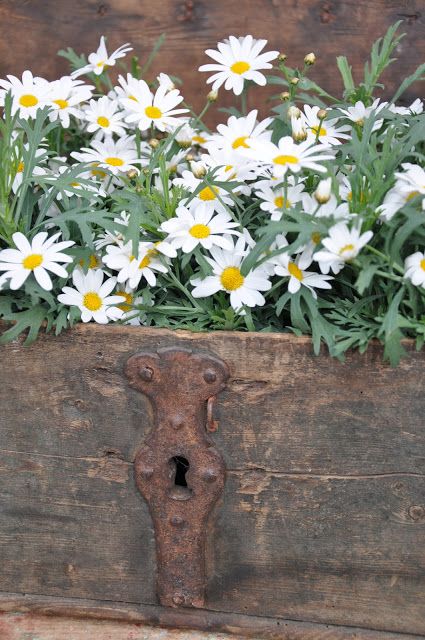 scatola in legno