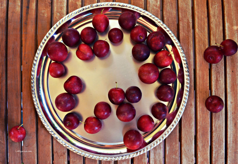 marmellata di prugne rosse