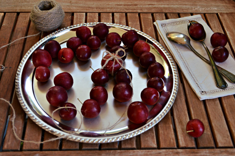 marmellata di prugne rosse biologiche