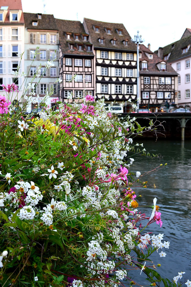 il piacere di viaggiare fiori