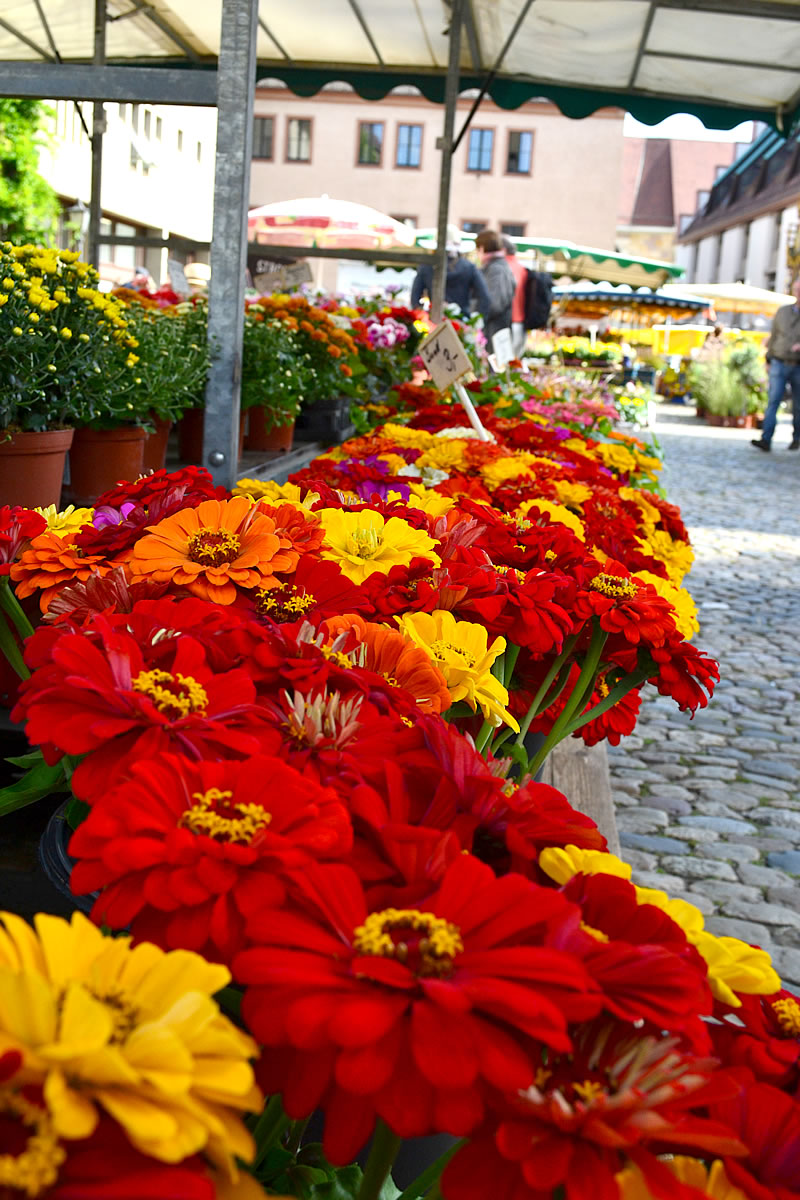 il piacere di viaggiare mercato di fiori