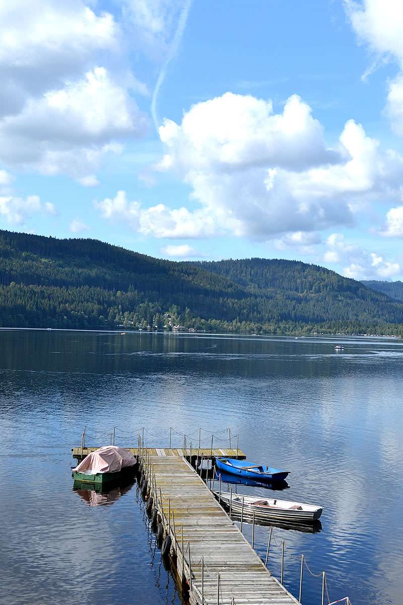 il piacere di viaggiare lago foresta nera