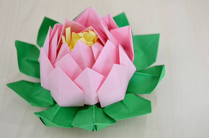 fiore di loto origami carta rosa