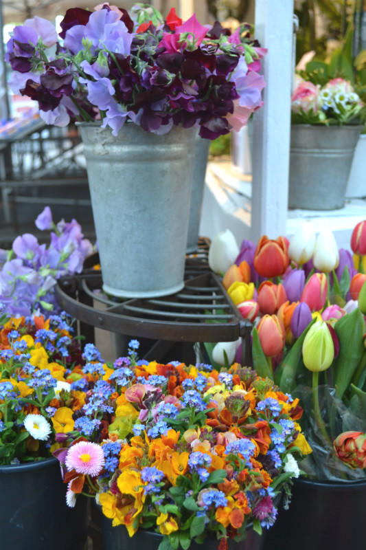 mercato-di-fiori-lafigurina