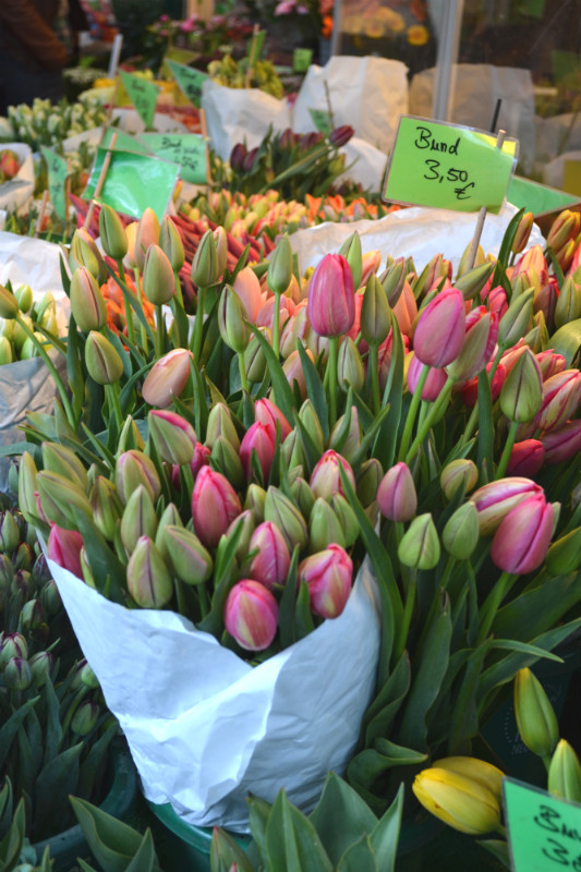 decorare casa con i fiori tulipani-mercato