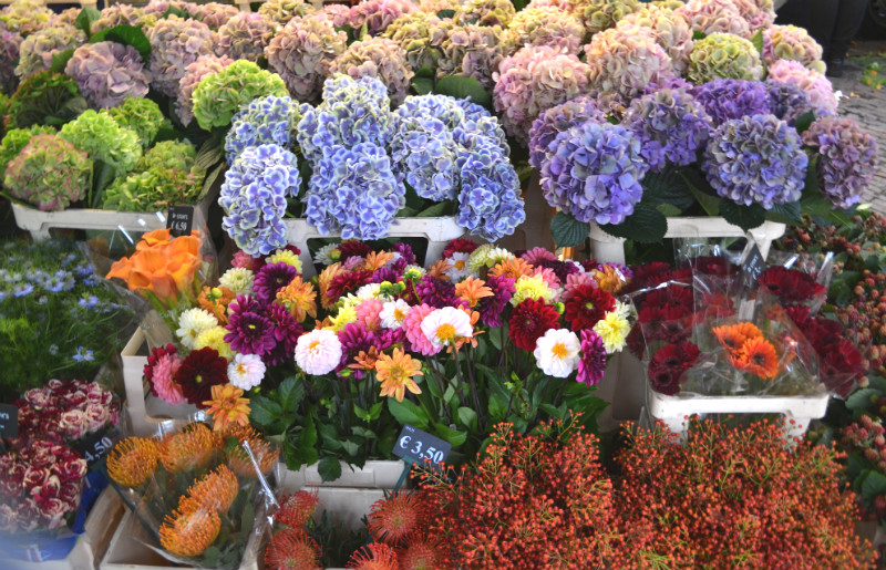utrecht mercato-dei-fiori