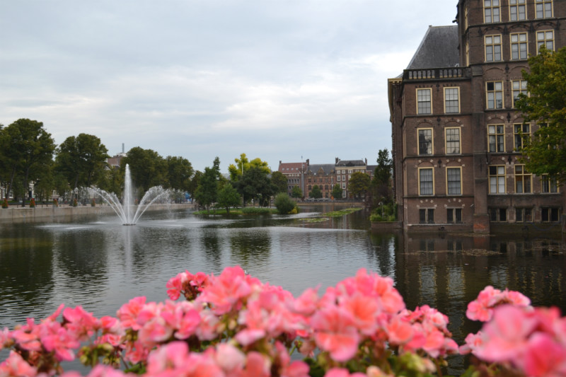 viaggio in olanda fiori