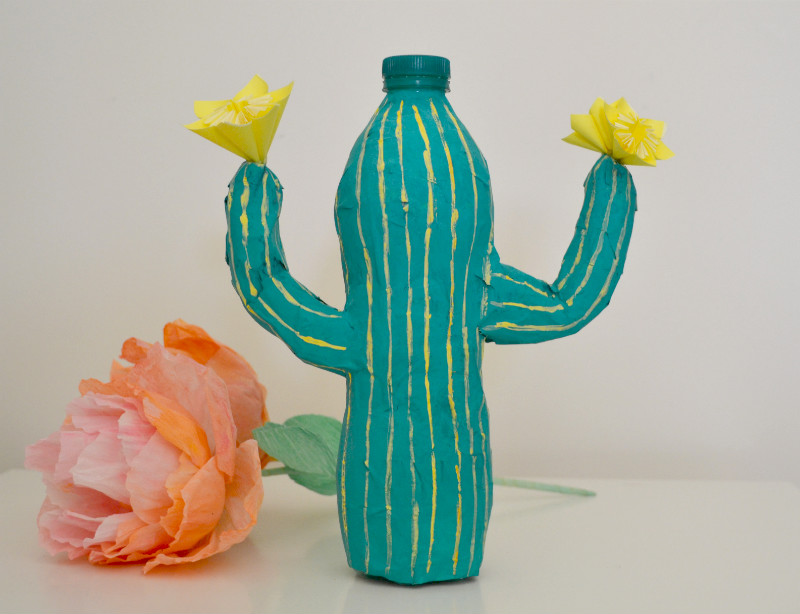 cactus portafiori riciclo creativo