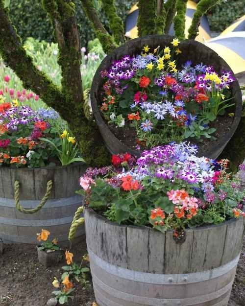 Come abbellire il tuo giardino con le fioriere da esterno