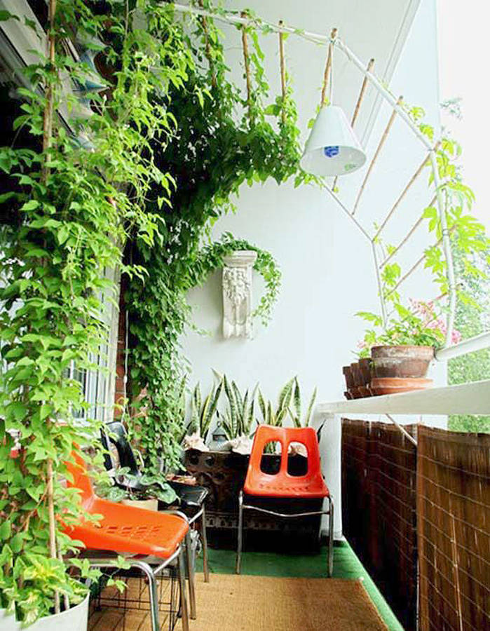 decorare il balcone piante