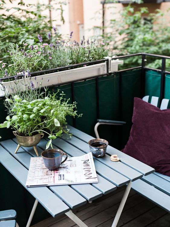 quali fiori piantare sul balcone lavanda