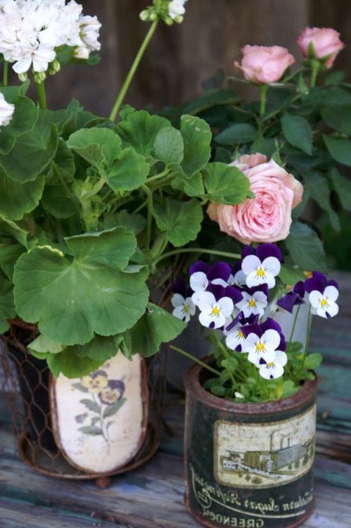 Quali fiori piantare sul balcone