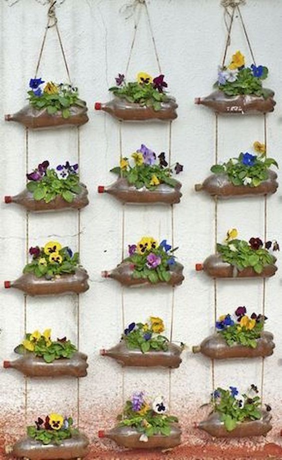 Idee innovative per giardini verticali in casa: consigli pratici e