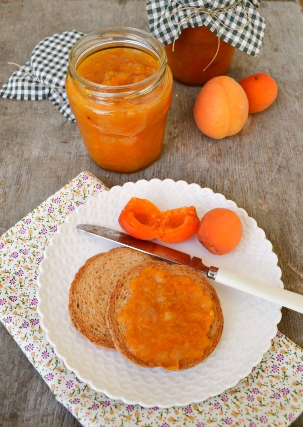 Marmellata di albicocche senza zucchero ingredienti