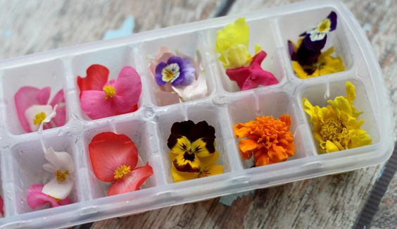Cubetti di ghiaccio con fiori commestibili