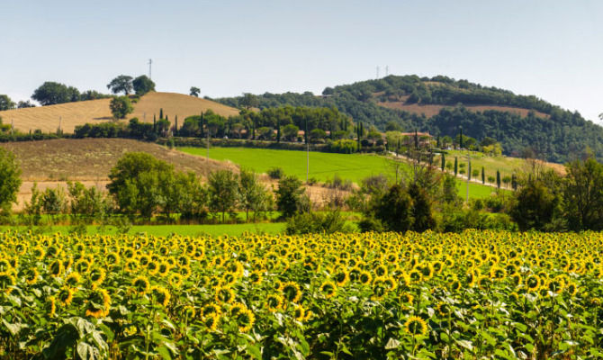 gavorrano maremma