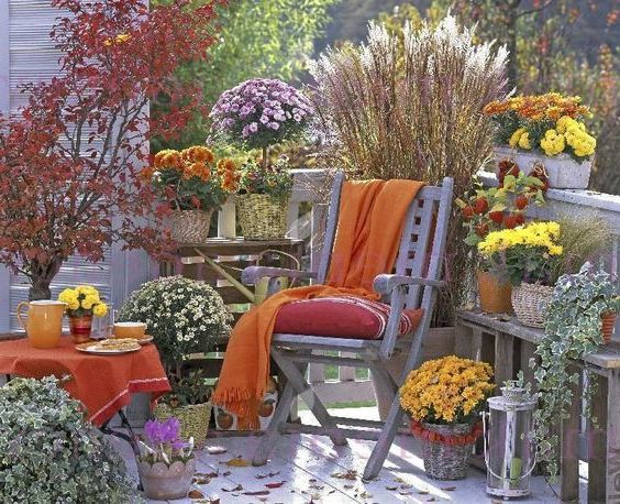 fiori balcone in autunno