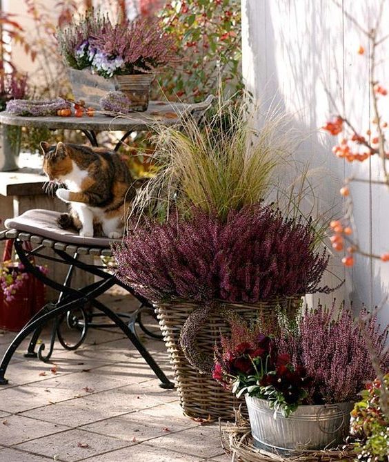 balcone in autunno