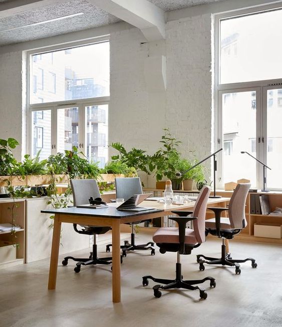 ufficio green piante