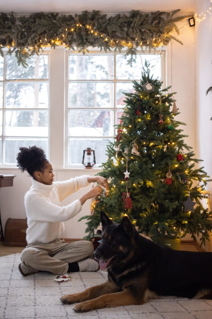 addobbare l'albero di natale