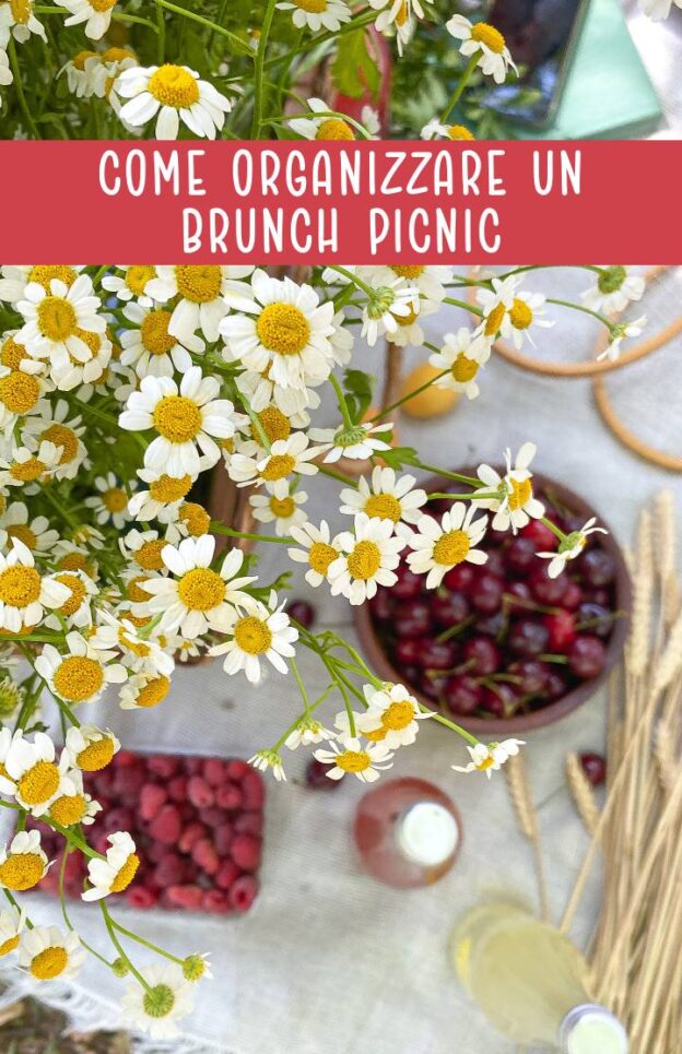 brunch picnic