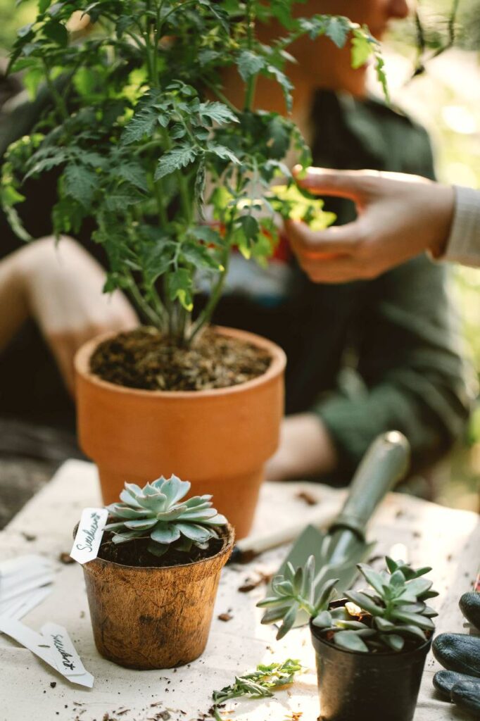 felicità interiore e il gardening