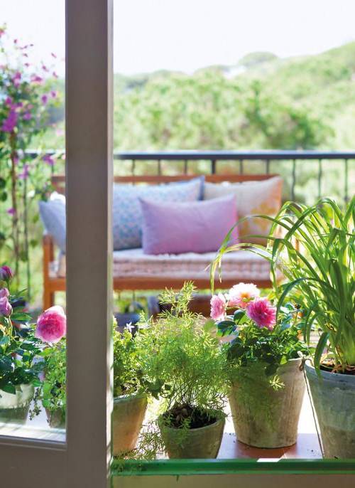 balcone fiorito senza allergie